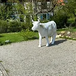 Am Brunnen Appartement *