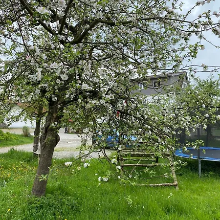 Am Brunnen Apartmán Uberlingen