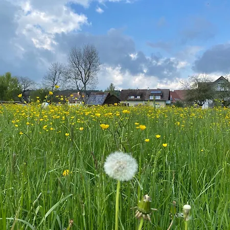 Apartamento Am Brunnen