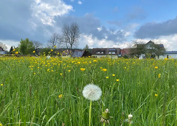Apartment Am Brunnen